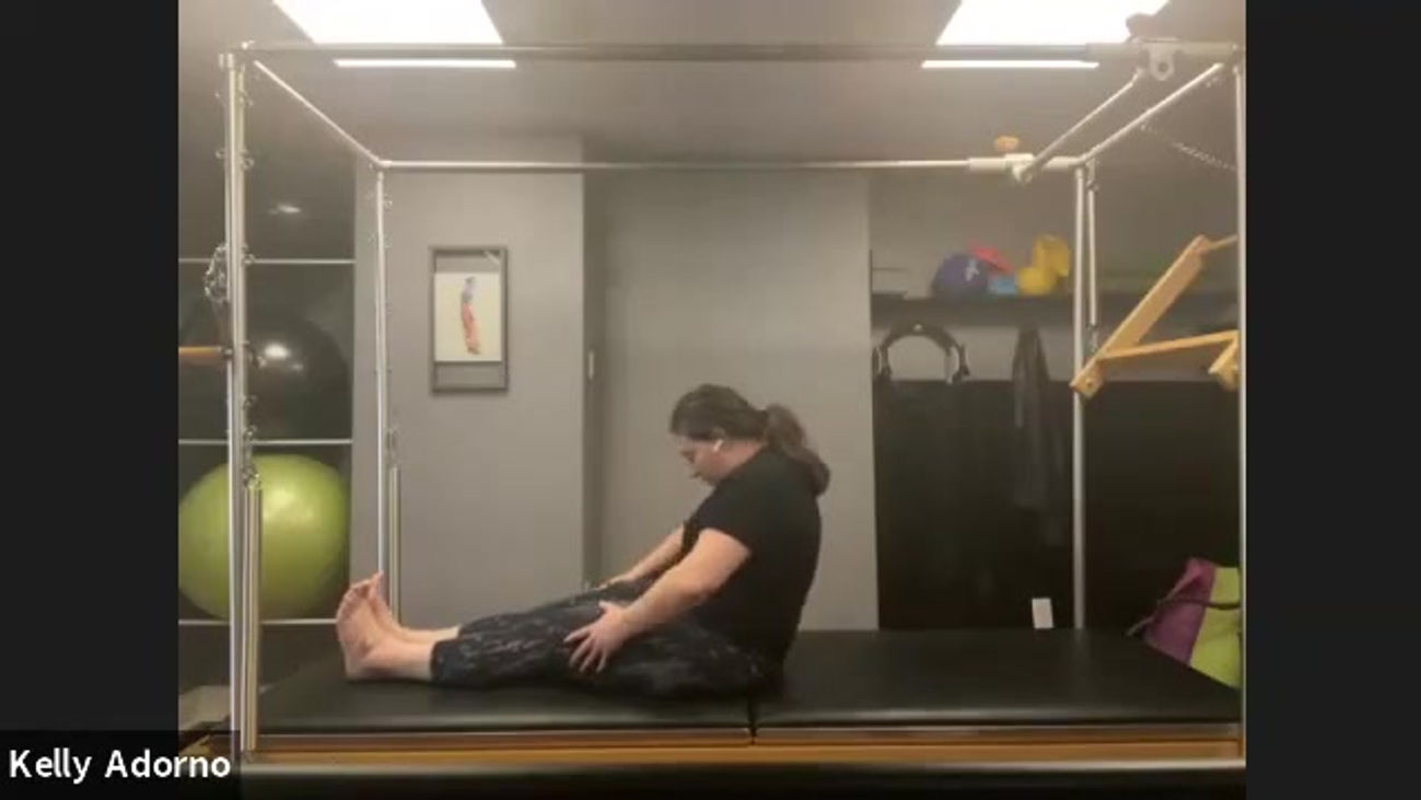 All Levels Pilates Mat (Stabilize & Mobilize Theme)